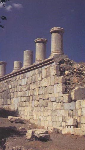 Reconstructed Walls and Columns